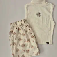 قلبی، پنگوین و بعبعی|لباس|ساری, |دیوار