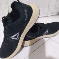 کتانی ریبوک|کیف، کفش، کمربند|فردوسیه, |دیوار