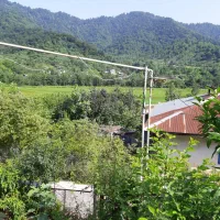 ویلاجنگلی|اجارهٔ کوتاه‌مدت ویلا و باغ|رشت, پسیخان|دیوار