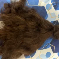 فروش مو|آرایشگاه و سالنهای زیبایی|شاهینشهر, عطار|دیوار