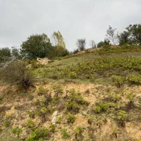 زمین با ویو ابدی