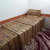 دوچرخه نو ویوا|دوچرخه، اسکیت، اسکوتر|بندر گناوه, |دیوار