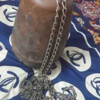 شتری بزرگ