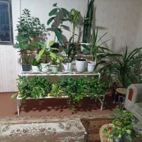 پا یه آهنی سه طبقه به رنگ سفید  و همراه تعدادی گل