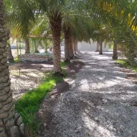 اقامتگاه تفریحی و دلباز همراه با سوئیت