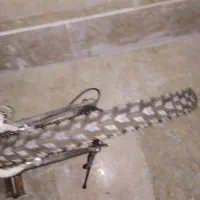 دوجرخه۲۶کارکرده|دوچرخه، اسکیت، اسکوتر|تهران, افسریه جنوبی|دیوار