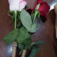 مربی مهدکودک