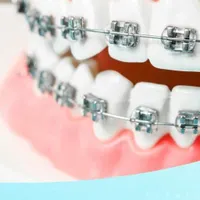 منشی، پذیرش، دستیار دندانپزشک