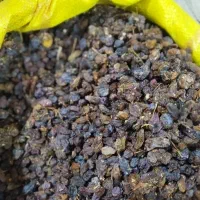 کشمش و ممیز