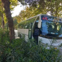 اتوبوس میدل باس