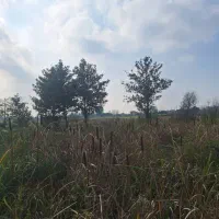 زمین 500متر مسکونی دار|فروش زمین و ملک کلنگی|رشت, سلیمانداراب|دیوار