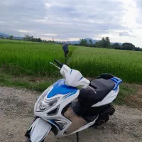 موتور