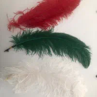 پر تزئینی