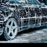 کارگرخانم‌ یااقا