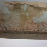 رفع نم با دستگاه تصویری.نشت یابی لوله کشی.ترکیدگی|خدمات پیشه و مهارت|بجنورد, |دیوار