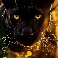 سرویس کاری ونصب کولر آبی