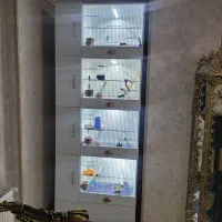 قفس چوبی اروپایی|لوازم جانبی حیوانات|قدس, شهرقدس|دیوار