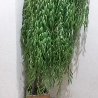 گلدان مصنوعی