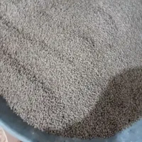 عدس بومی