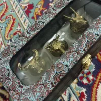 شات نوشیدنی