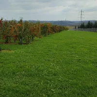 فروش چهارهکتارزمین کشاورزی