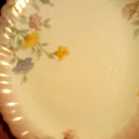 ارکوپال الیزه اصل ۲عدد دیس و۱عددسوپ خوری سالم