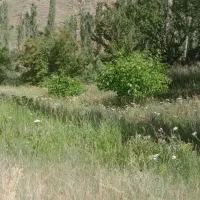 250-میلیون-توافق-درپایه-معامله