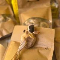 سیر سیاه همدان