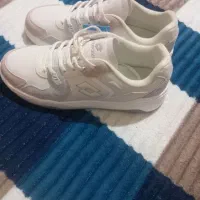 کفش پیاده روی اصل Lotto