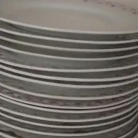 پلو خوری و پیش دستی