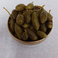 هندوانه ابوجهل