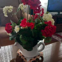 گلدان|گل مصنوعی|زنجان, |دیوار