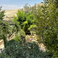 استخدام گیاهپزشک در رودهن با حقوق توافقی