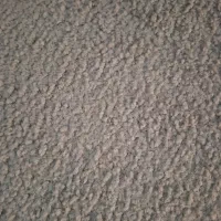 پالاز موکت رنگ توسی روشن 45 متر|موکت|همدان, |دیوار