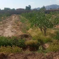 زمین برا ساخت باغ و خونه و ویلا و انبار...