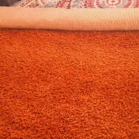 فرش پرز بلند شگی در حد نو|فرش|کوهسار (البرز), |دیوار