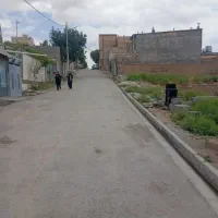 زمین کشمیری34