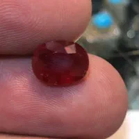 یاقوت سونچیا شناسنامه دار