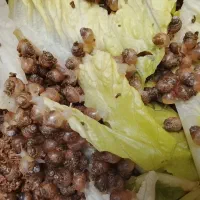 حلزون های رایگان|خزنده|قزوین, |دیوار