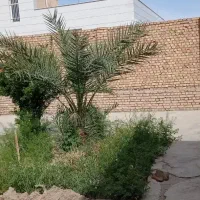 منزل ویلایی در سرخه مناسب انبار یا سکونت|اجارهٔ خانه و ویلا|سرخه, |دیوار