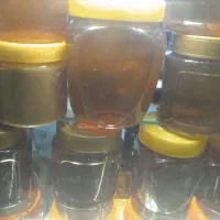 راهنمایی کنید