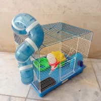 قفس همستر،قفس جوندگان|موش و خرگوش|گلستان (تهران), |دیوار