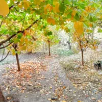 فروش-واحد-95متری-مسکن-مهرامام-الرضا