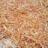 ریشه زعفران