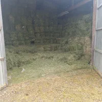 یونجه و کاه فروشی