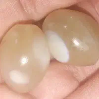 مهره زبونبند و محبت و تسهیل امور و|جواهرات|شادگان, |دیوار