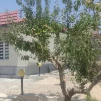 اجاره ویلا خونه باغ ۱۵۰۰ متری|اجارهٔ کوتاه‌مدت ویلا و باغ|شیراز, کودیان|دیوار