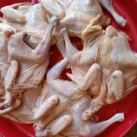 مرغ خورشتی