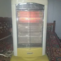 بخاری برقی پلونیس