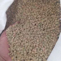 عدس بذری|خوردنی و آشامیدنی|جعفرآباد, |دیوار